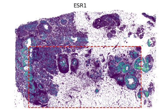 _images/Tutorial_1_SpatialEx_Translates_Histology_to_Omics_at_Single-Cell_Resolution_v2_26_0.png