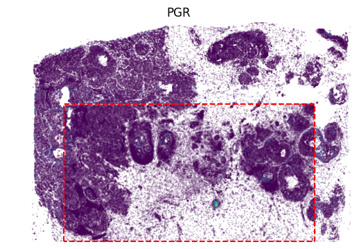 _images/Tutorial_1_SpatialEx_Translates_Histology_to_Omics_at_Single-Cell_Resolution_v2_27_0.png