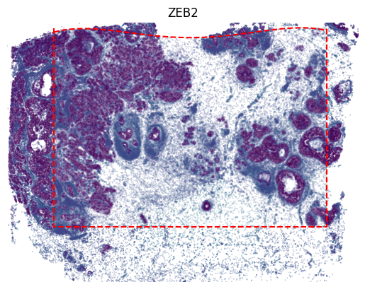_images/Tutorial_2_SpatialEx%2B_Enables_Larger_Panel_Spatial_Analysis_through_Panel_Diagonal_Integration_24_0.png