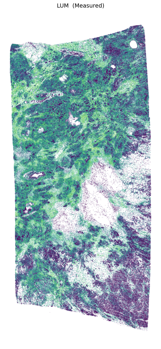 _images/Tutorial_3_Scalability_on_Million-Cell_Tissue_Sections_17_0.png