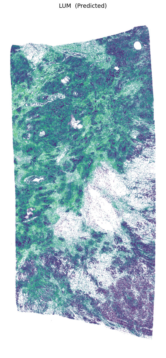 _images/Tutorial_3_Scalability_on_Million-Cell_Tissue_Sections_18_0.png