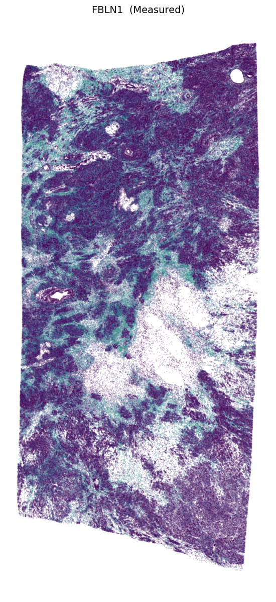 _images/Tutorial_3_Scalability_on_Million-Cell_Tissue_Sections_20_0.png