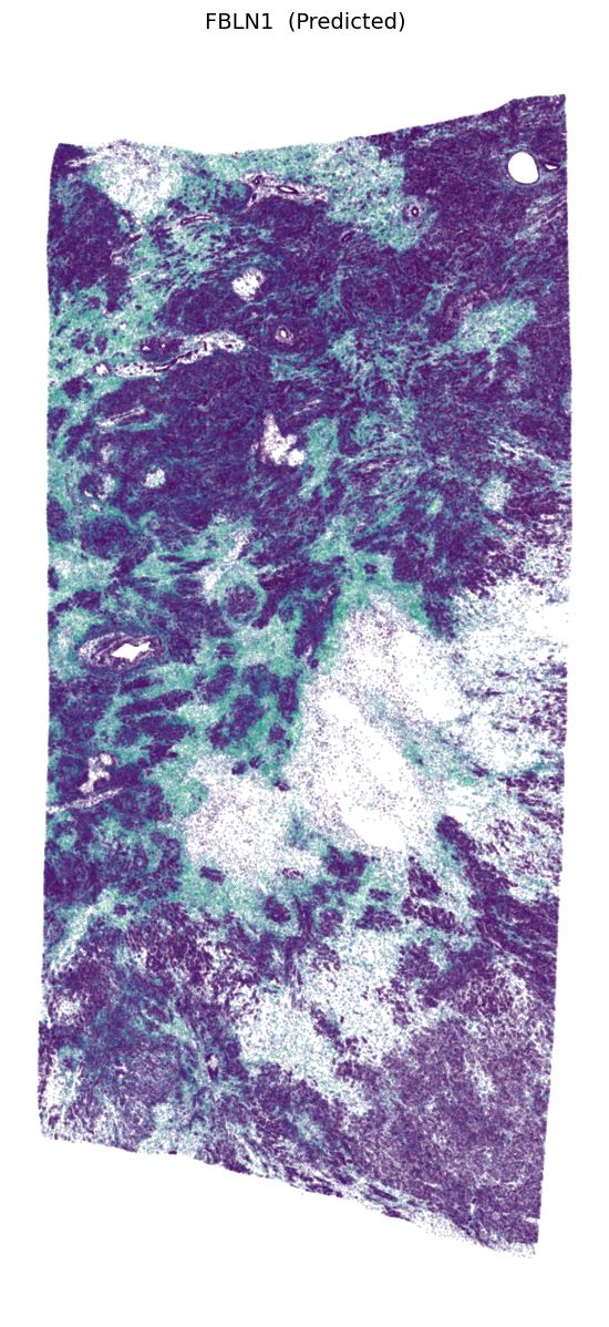 _images/Tutorial_3_Scalability_on_Million-Cell_Tissue_Sections_21_0.png