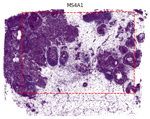 _images/Tutorial_4_SpatialEx%2B_Enables_Spatial_Multi-omics_through_Omics_Diagonal_Integration_%28transcriptomics-proteomics%29_22_0.png