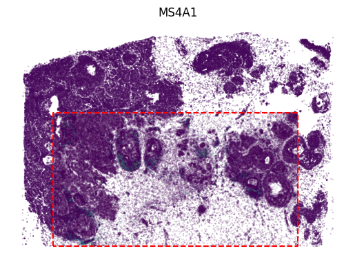 _images/Tutorial_4_SpatialEx%2B_Enables_Spatial_Multi-omics_through_Omics_Diagonal_Integration_%28transcriptomics-proteomics%29_26_0.png