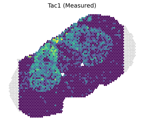 _images/Tutorial_5_SpatialEx%2B_Enables_Spatial_Multi-omics_through_Omics_Diagonal_Integration_%28transcriptomics-metabolomics%29_22_0.png
