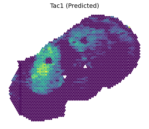 _images/Tutorial_5_SpatialEx%2B_Enables_Spatial_Multi-omics_through_Omics_Diagonal_Integration_%28transcriptomics-metabolomics%29_23_0.png